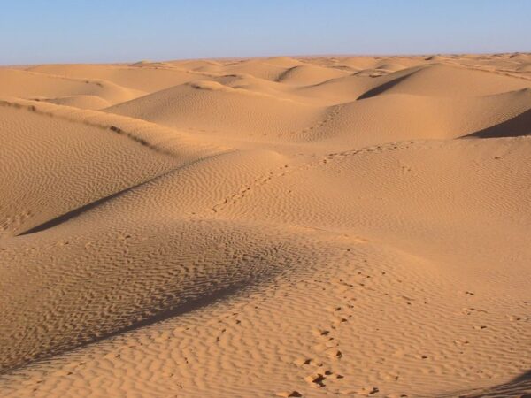 erg din desert